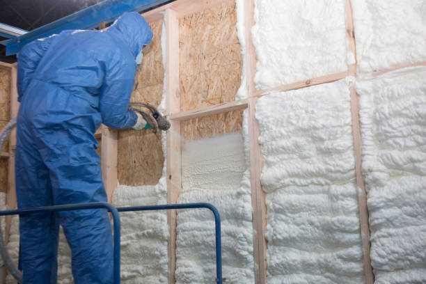 Best Thermal Imaging for Insulation Gaps in Monongah, WV